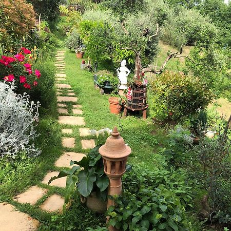B&B Puccini Pescaglia Extérieur photo